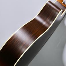 Martin 【特典あり!GPC-16E Rosewood #3024958 【薄くて持ちやすい!】【48回無金利分割】【クロサワ本店】_10