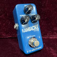 tc electronic Flashback mini