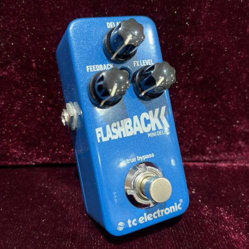 tc electronic Flashback mini