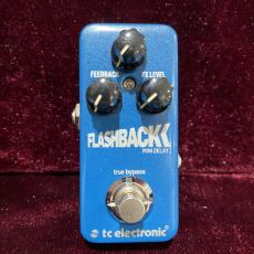 tc electronic Flashback mini_2