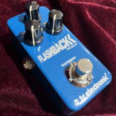 tc electronic Flashback mini_8