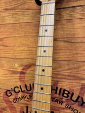 Vanzandt TLV-R1 Custom / Butterscotch Blonde #10418 ≒3.65kg【FAT Neck】【Fullertone PU】_5