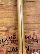 Vanzandt TLV-R1 Custom / Butterscotch Blonde #10417 ≒3.48kg【FAT Neck】【Fullertone PU】_9