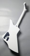 LTD 【チョイキズ特価】SNAKEBYTE -Snow White-【4.26kg】_6