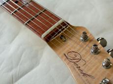 DEREK CUSTOM GUITAR Custom-TE/FM AMAZON JARRAH_13