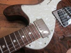 FREEDOM CUSTOM GUITAR RESEARCH Brown Pepper_3