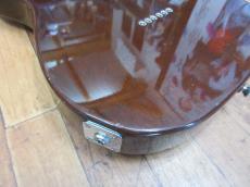FREEDOM CUSTOM GUITAR RESEARCH Brown Pepper_7