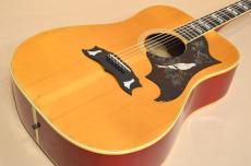 Gibson DOVE CUSTOM　1978年製_3