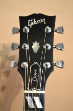 Gibson DOVE CUSTOM　1978年製_7