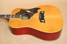 Gibson DOVE CUSTOM　1978年製_12
