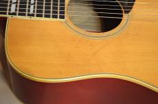 Gibson DOVE CUSTOM　1978年製_14