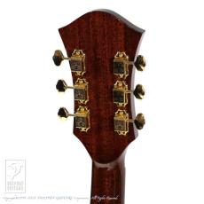 Rozeo Ladybug Mahogany-TBC HB/Brown_9