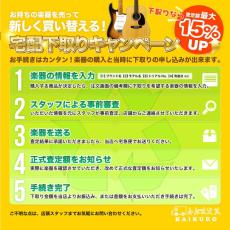 Antonio Lopez [アントニオ・ロペス] アントニオ・ロペス PRPFESSIONAL プロフェッショナル 2021年製 杉・ローズウッド 【日本総本店2F 在庫品】_11