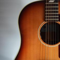 Epiphone FT-79 TEXAN_5