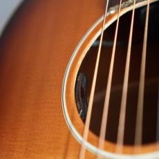 Epiphone FT-79 TEXAN_16
