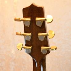 Takamine PXM-H Custom_5