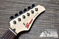 Greco WS-ADV-G【進化したメイドインジャパン!】_3