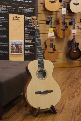 Taylor Academy12e-Nylon
