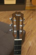 Taylor Academy12e-Nylon_5