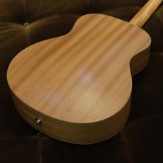 Taylor GS Mini Sapele_2