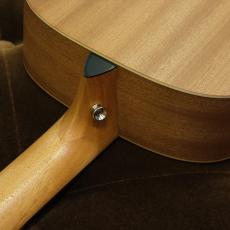Taylor GS Mini Sapele_4