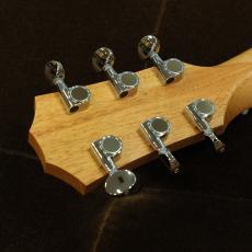 Taylor GS Mini Sapele_6