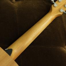 Taylor GS Mini Sapele_8