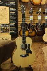 Taylor GS Mini Sapele_9