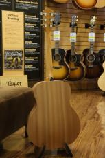Taylor GS Mini Sapele_10