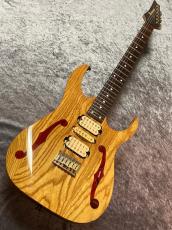 Ibanez PGM800_2