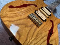 Ibanez PGM800_6