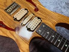 Ibanez PGM800_7