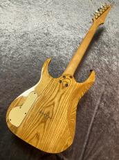 Ibanez PGM800_8