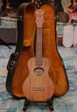 KoAloha Concert 【2004年製USED 】