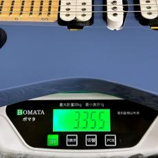 Ibanez J-LINE RG6HSHMTR-BGY (Blue Gray)【特価】【SPOTカラー】【日本製】_10