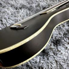 Ibanez TOD10N-TKF (Transparent Black Flat) Tim Henson Signature【特価】【エレガット】_10