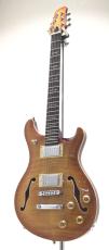 Sire Q7 Hollow / Amber Burst_2