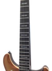 Sire Q7 Hollow / Amber Burst_3