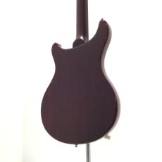 Sire Q7 Hollow / Amber Burst_5