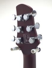 Sire Q7 Hollow / Amber Burst_6