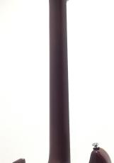 Sire Q7 Hollow / Amber Burst_7