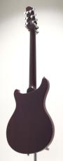 Sire Q7 Hollow / Amber Burst_8