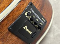 Ibanez AC390MHE 【現物写真】_11