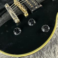 Epiphone Tak Matsumoto DC Custom 2010_6