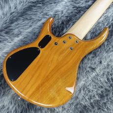 MTD Kingston z6 Natural Burl_2