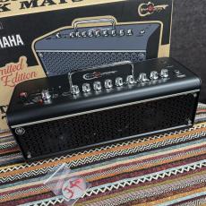 YAMAHA THR30II Wireless TAK MATSUMOTO_4
