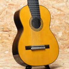 Kohno Masaru Professional 10弦