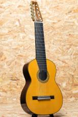 Kohno Masaru Professional 10弦_3