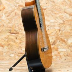 Kohno Masaru Professional 10弦_4