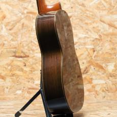Kohno Masaru Professional 10弦_5